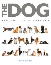 bokomslag Alderton, D: Dog