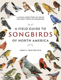 bokomslag A Field Guide to Songbirds of North America: A Visual Directory of 100 of the Most Popular Songbirds