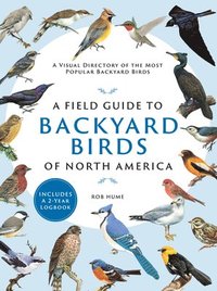 bokomslag A Field Guide to Backyard Birds of North America