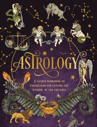bokomslag Astrology: A Guided Workbook: Volume 2