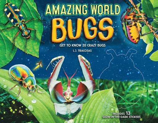 Amazing World: Bugs: Volume 1 1