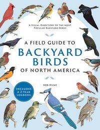 bokomslag A Field Guide to Backyard Birds of North America: A Visual Directory of the Most Popular Backyard Birds - Includes a 2-Year Logbook