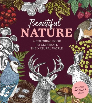 Beautiful Nature Coloring Book 1