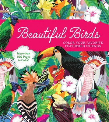 Editors of Chartwell Books, Editors Of Chartwell Books - Beautiful Birds, Häftad