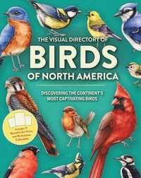 bokomslag The Visual Directory of Birds of North America