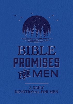 bokomslag Bible Promises for Men
