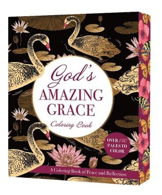God's Amazing Grace