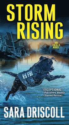Storm Rising