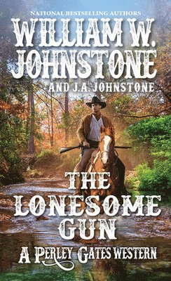 bokomslag Lonesome Gun