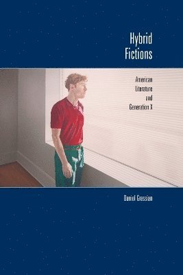 Daniel Grassian - Hybrid Fictions, Häftad