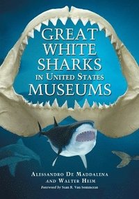 bokomslag Great White Sharks in United States Museums