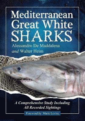 Mediterranean Great White Sharks 1