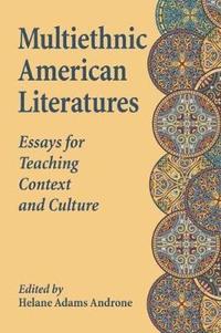 bokomslag Multiethnic American Literatures