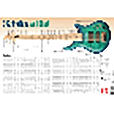 bokomslag 5-String Bass Wall Chart