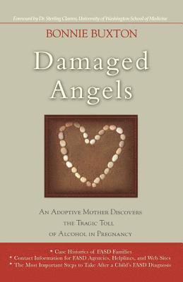bokomslag Damaged Angels