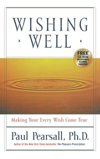 bokomslag Wishing Well: Making Your Every Wish Come True