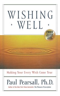 bokomslag Wishing Well: Making Your Every Wish Come True