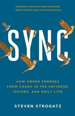 bokomslag Sync: How Order Emerges from Chaos in the Universe, Nature, and Daily Life