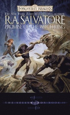 bokomslag Promise of the Witch-king: Bk. 2