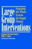bokomslag Large Group Interventions