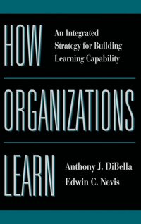 bokomslag How Organizations Learn