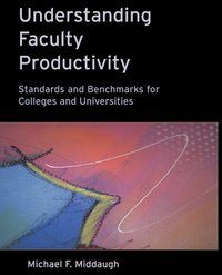 bokomslag Understanding Faculty Productivity