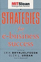 bokomslag Strategies for E-Business Success