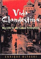 Vida Clandestina 1