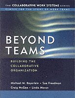 Michael M. Beyerlein, Susan Freedman, Craig McGee, Linda Moran - Beyond Teams, Häftad
