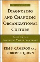bokomslag Diagnosing And Changing Organizational Culture