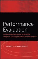 Ingrid J. Guerra-López - Performance Evaluation, Häftad