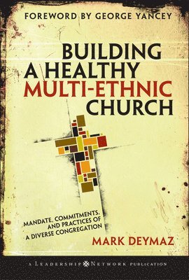 bokomslag Building a Healthy Multi-ethnic Church
