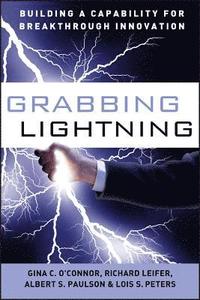 bokomslag Grabbing Lightning