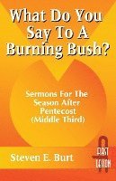 bokomslag What Do You Say to a Burning Bush?: Sermons for the Season After Pentecost (Middle Third): Cycle a (First Lesson)