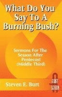 bokomslag What Do You Say to a Burning Bush?: Sermons for the Season After Pentecost (Middle Third): Cycle a (First Lesson)