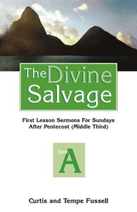 bokomslag The Divine Salvage