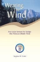 bokomslag Wearing the Wind
