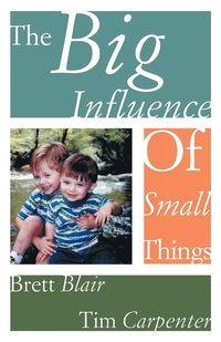 bokomslag The Big Influence of Small Things