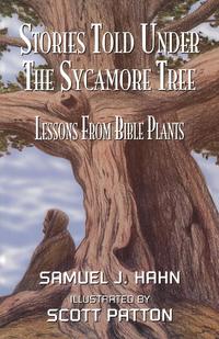 bokomslag Stories Told Under the Sycamore Tree