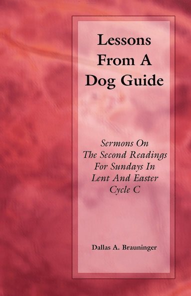 bokomslag Lessons from a Dog Guide