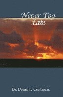 Never Too Late