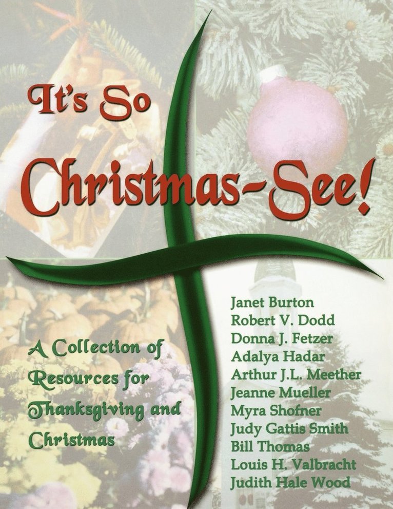 Janet Burton, Robert V Dodd, Donna J Fetzer, Robert V. Dodd, Donna J. Fetzer - It's So Christmas-See!, Häftad