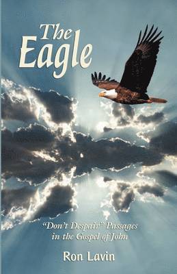 Ron Lavin - Eagle, Häftad