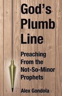 bokomslag God's Plumb Line