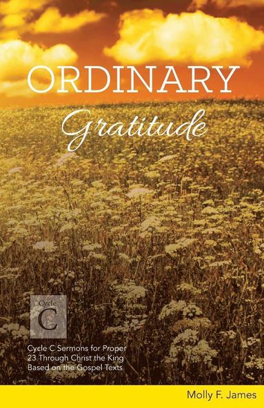 bokomslag Ordinary Gratitude