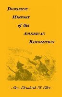 bokomslag Domestic History of the American Revolution