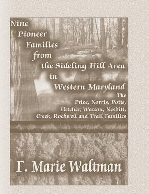 bokomslag Nine Pioneer Families from the Sideling Hill Area in Western Maryland