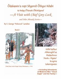 bokomslag A Visit with Chief Grey Lock and Other Abenaki Stories, Book 1