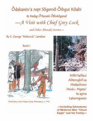 A Visit with Chief Grey Lock and Other Abenaki Stories, Book 1 1