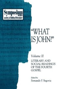 bokomslag What Is John?: Volume II, Literary and Social Readings of the Fourth Gospel